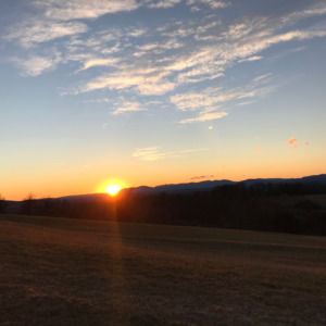 Meet your Posher, Lanee